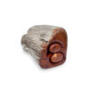 Cedar casket